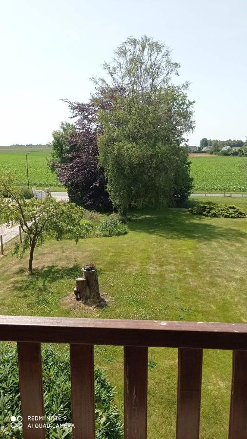 La Bella 12 - Appartement Gite Dans Maison D'Hotes Bordeaux-Saint-Clair Kültér fotó