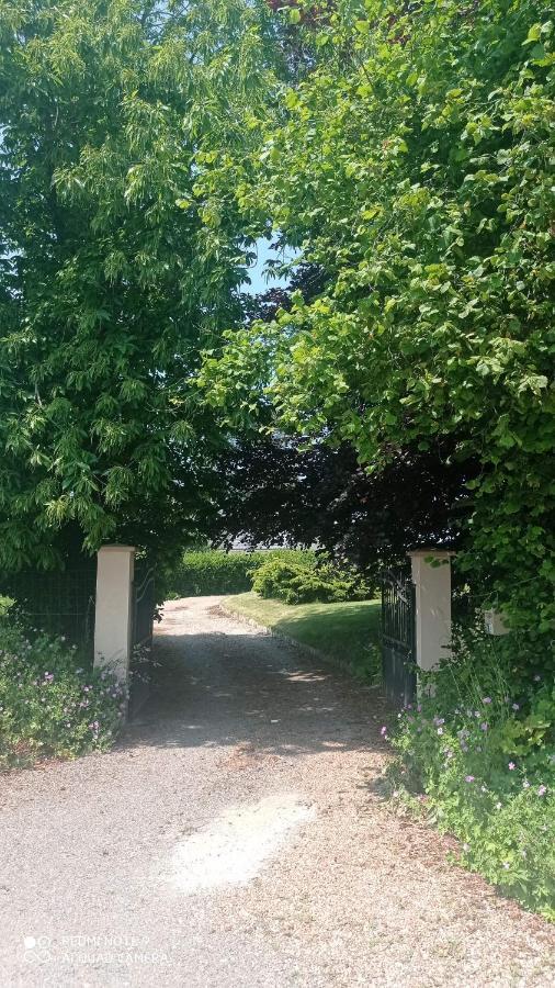 La Bella 12 - Appartement Gite Dans Maison D'Hotes Bordeaux-Saint-Clair Kültér fotó
